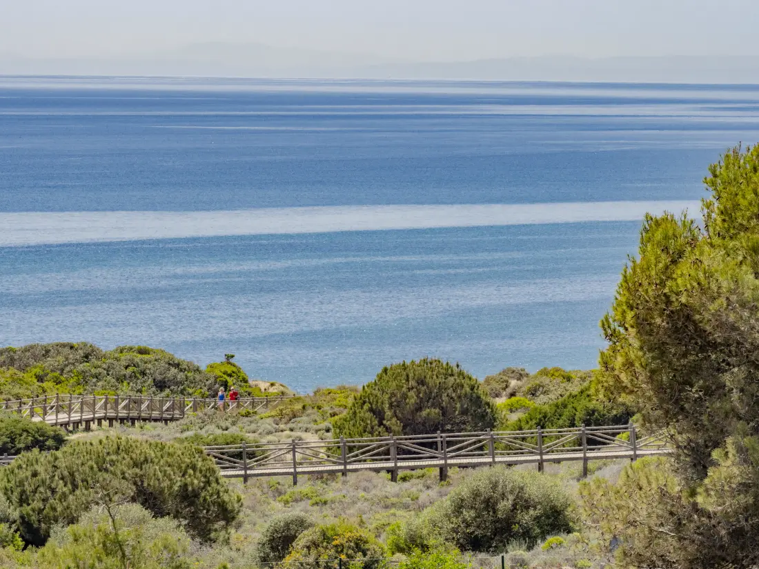 Appartements à Marbella