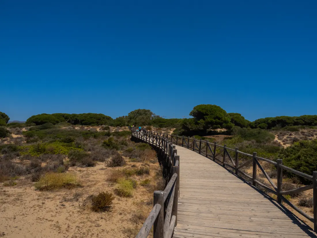 Appartements à Marbella