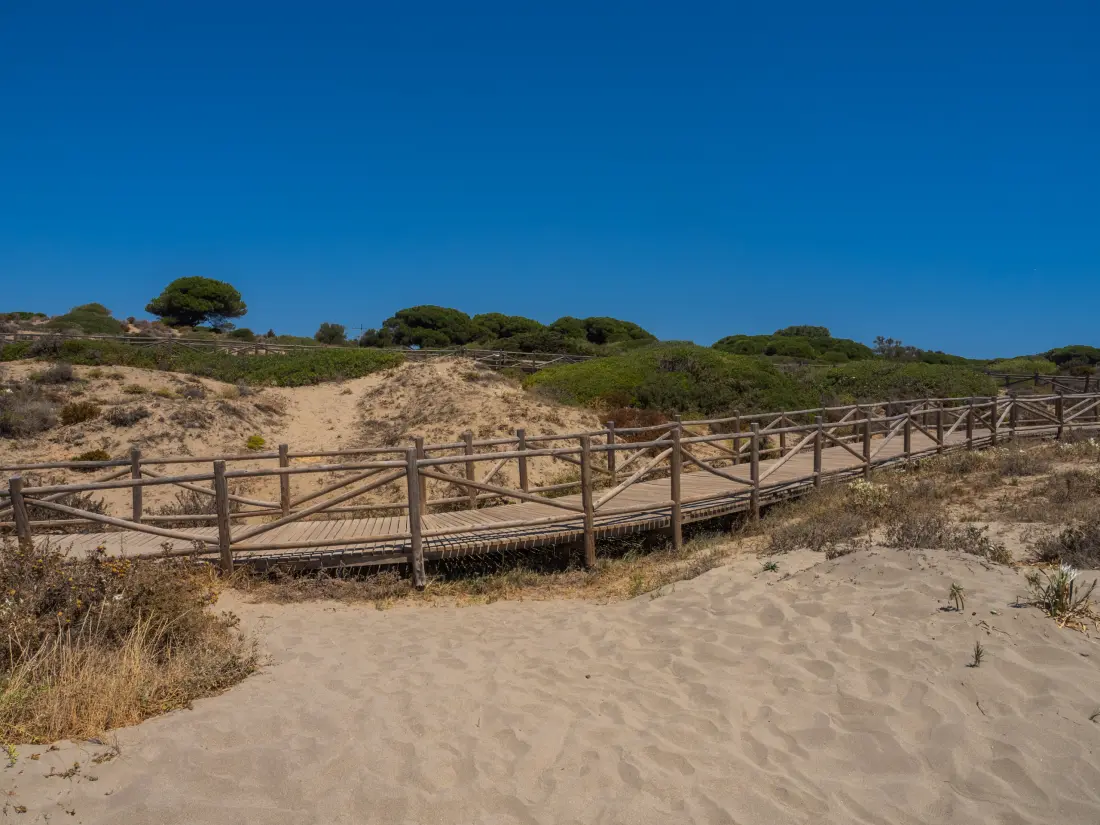 Appartements à Marbella