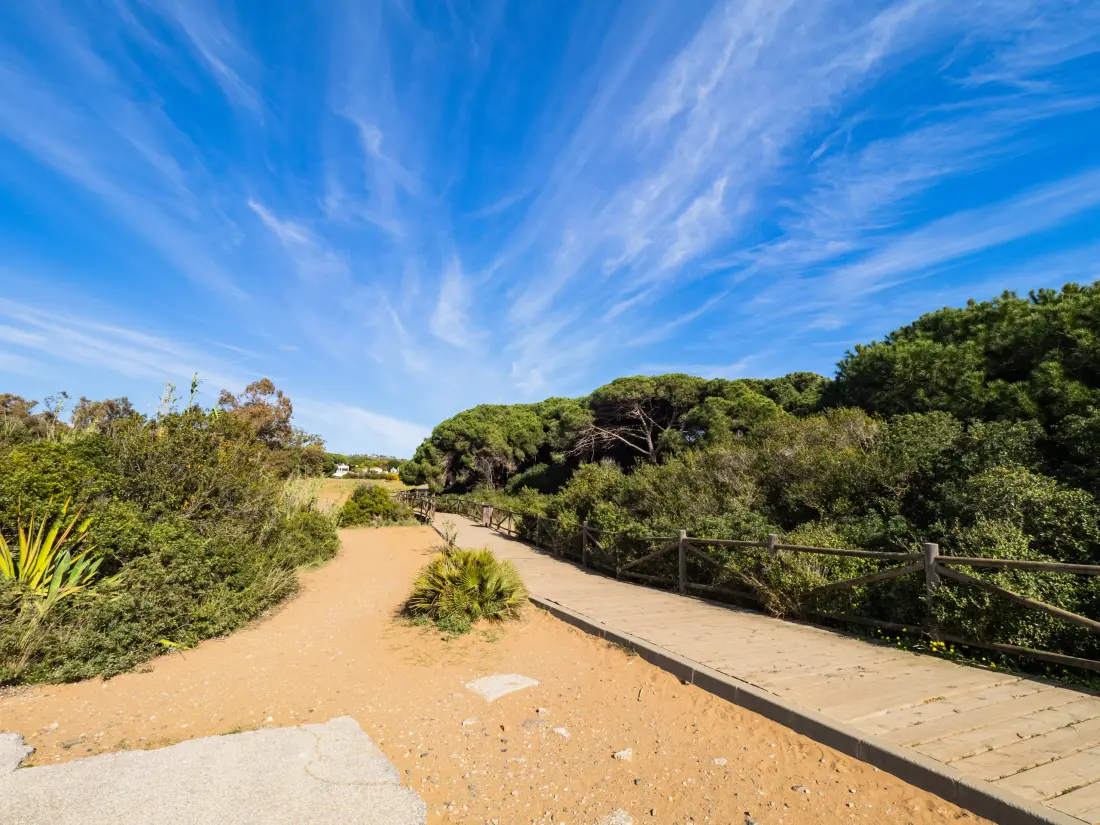 Appartements à Marbella