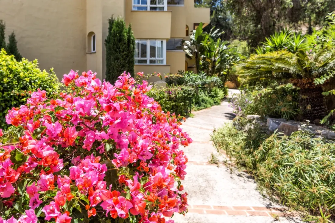 Appartements à Marbella