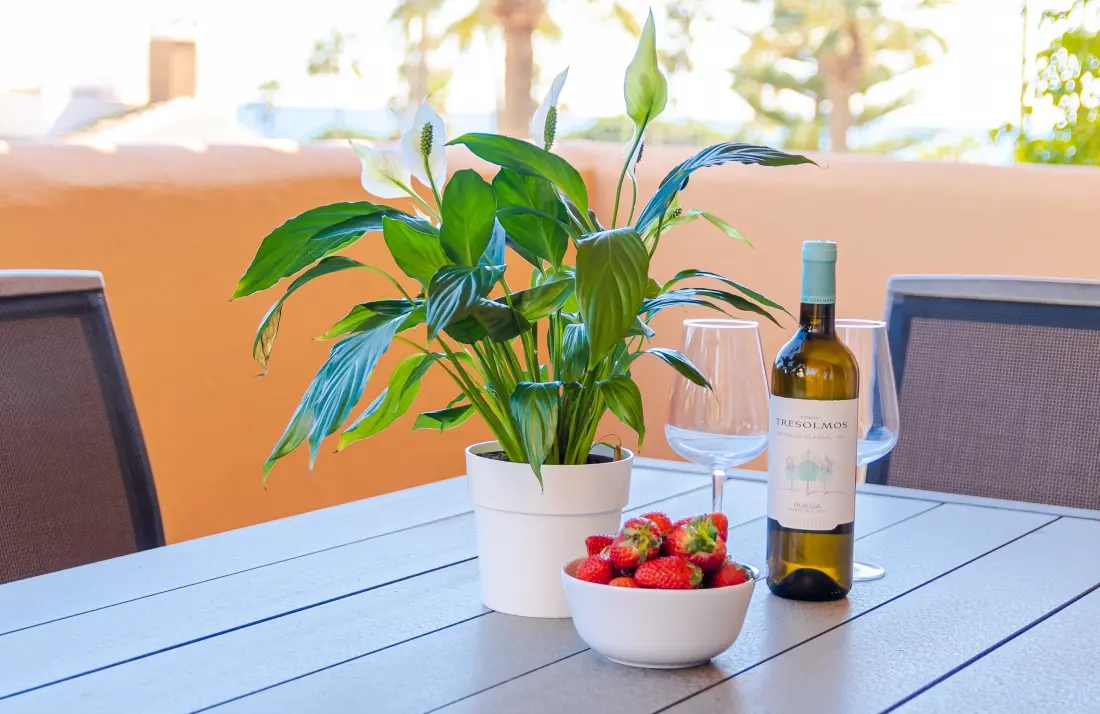 Appartements à Marbella