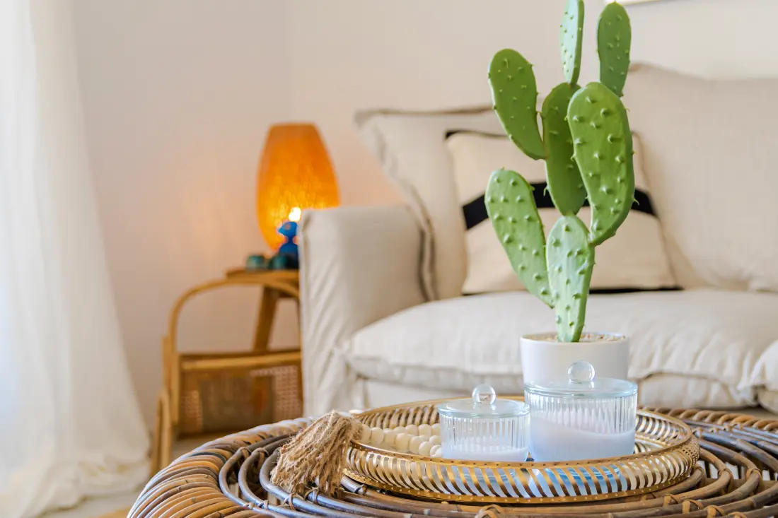 Appartements à Marbella