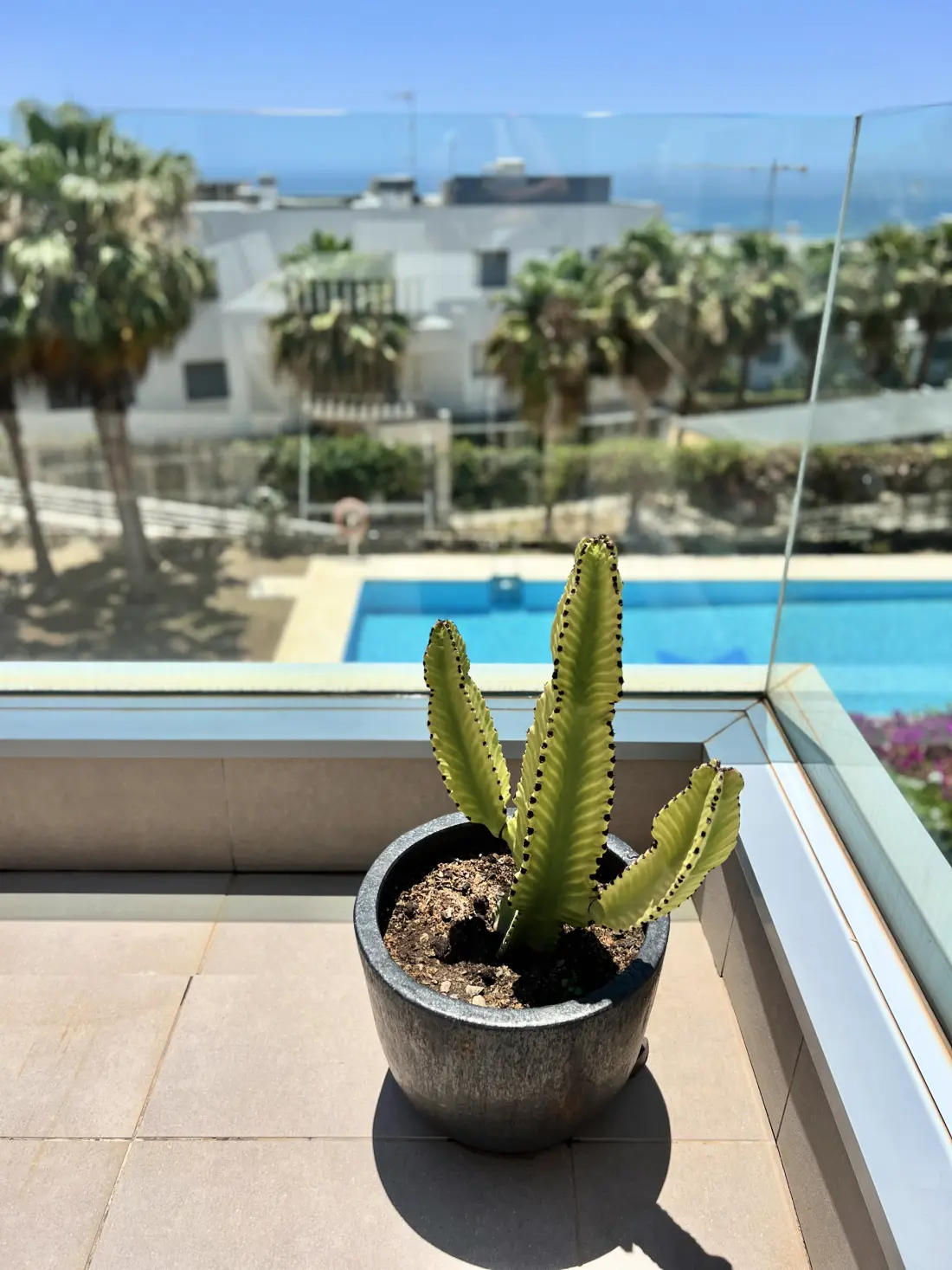 Appartements à Marbella