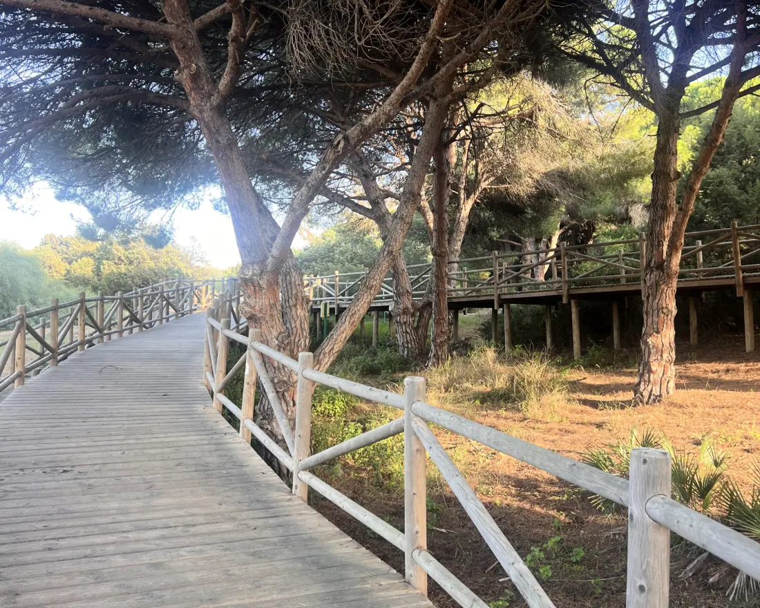 Appartements à Marbella