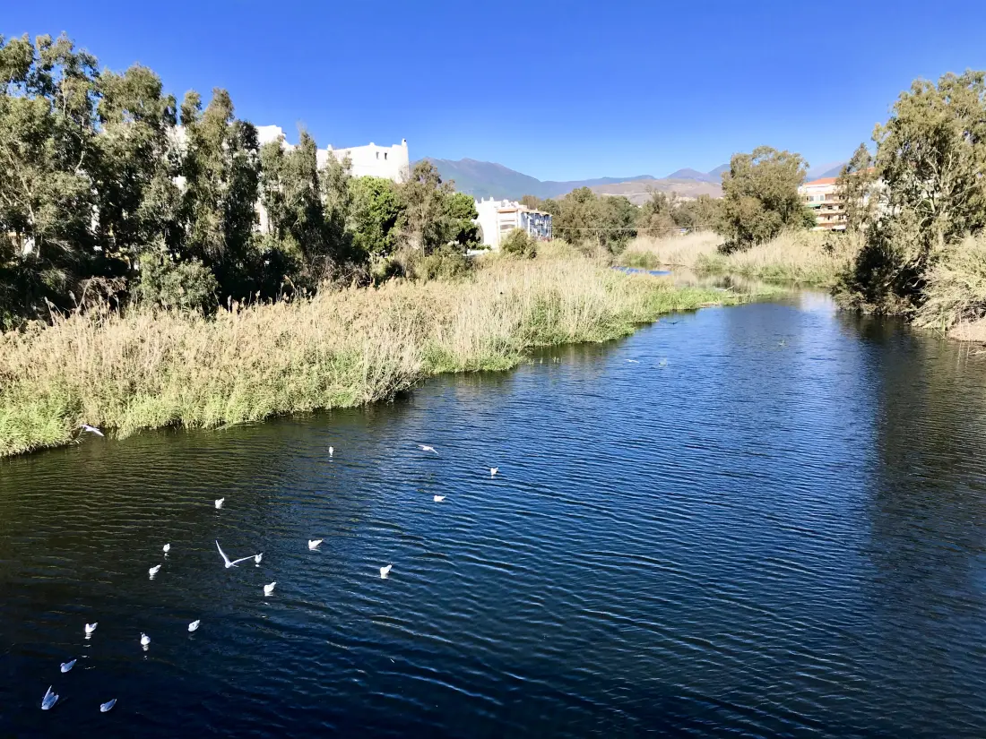 Appartements à Marbella