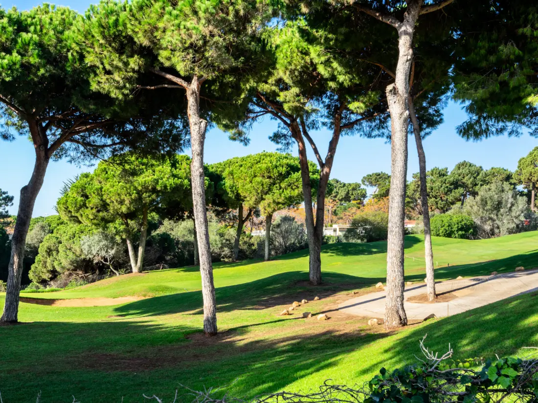 Maison de Vacances Marbella