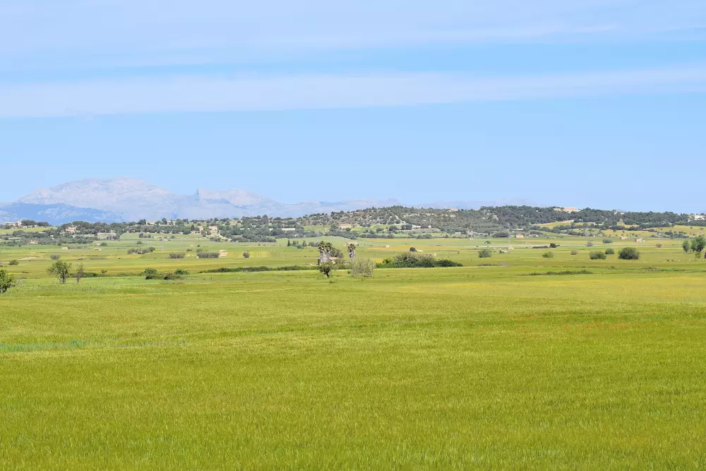 à Maria de la Salut