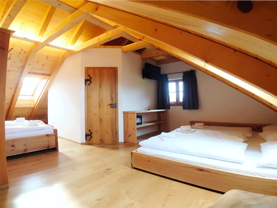 Résidence 6_ALP - Hochgolling 1  - Loft Apartment