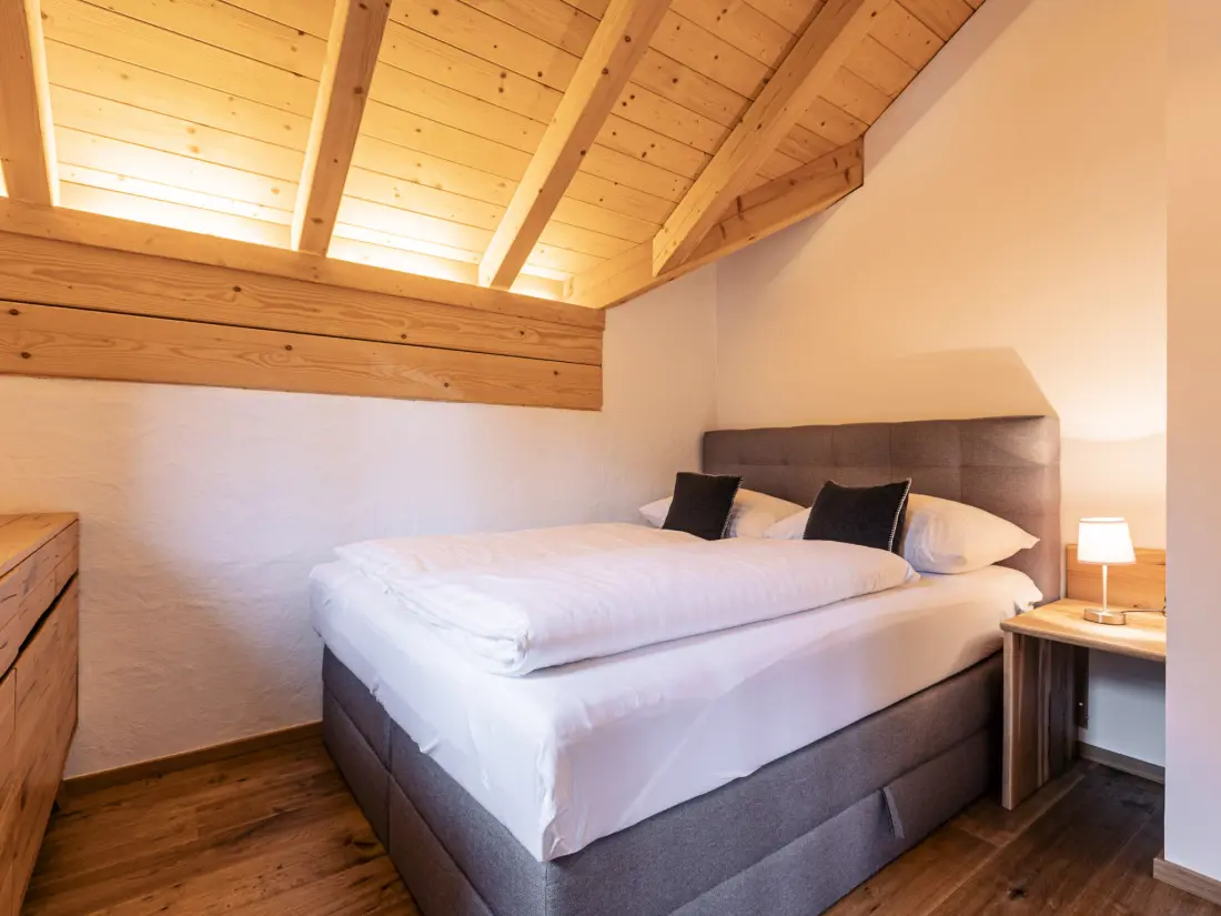 Résidence 6_ALP - Penthouse Preber