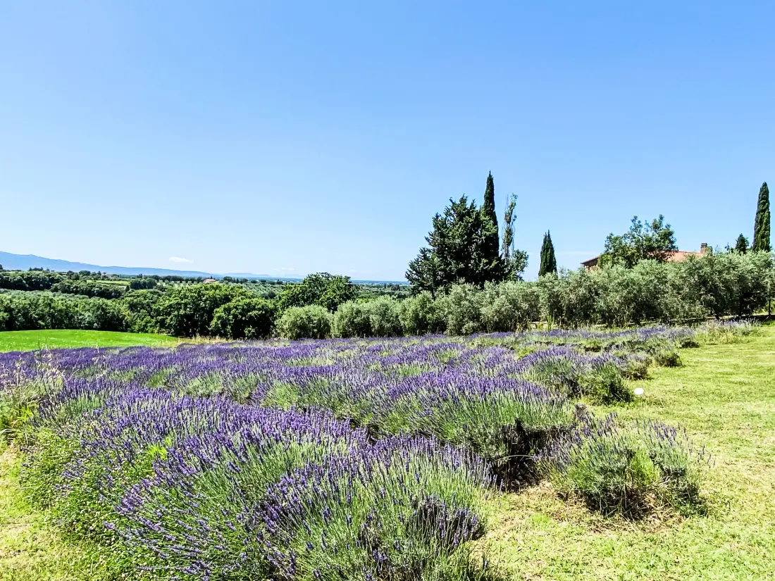 Résidence Tramontana