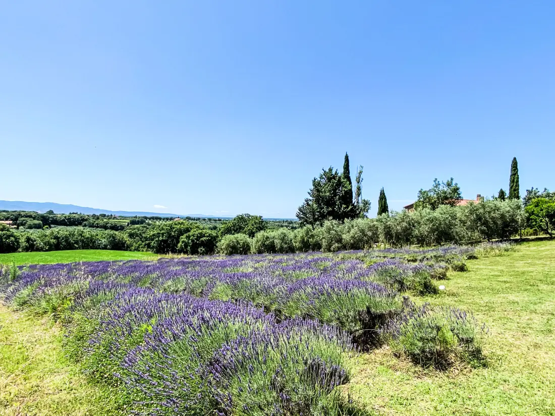 Résidence Tramontana