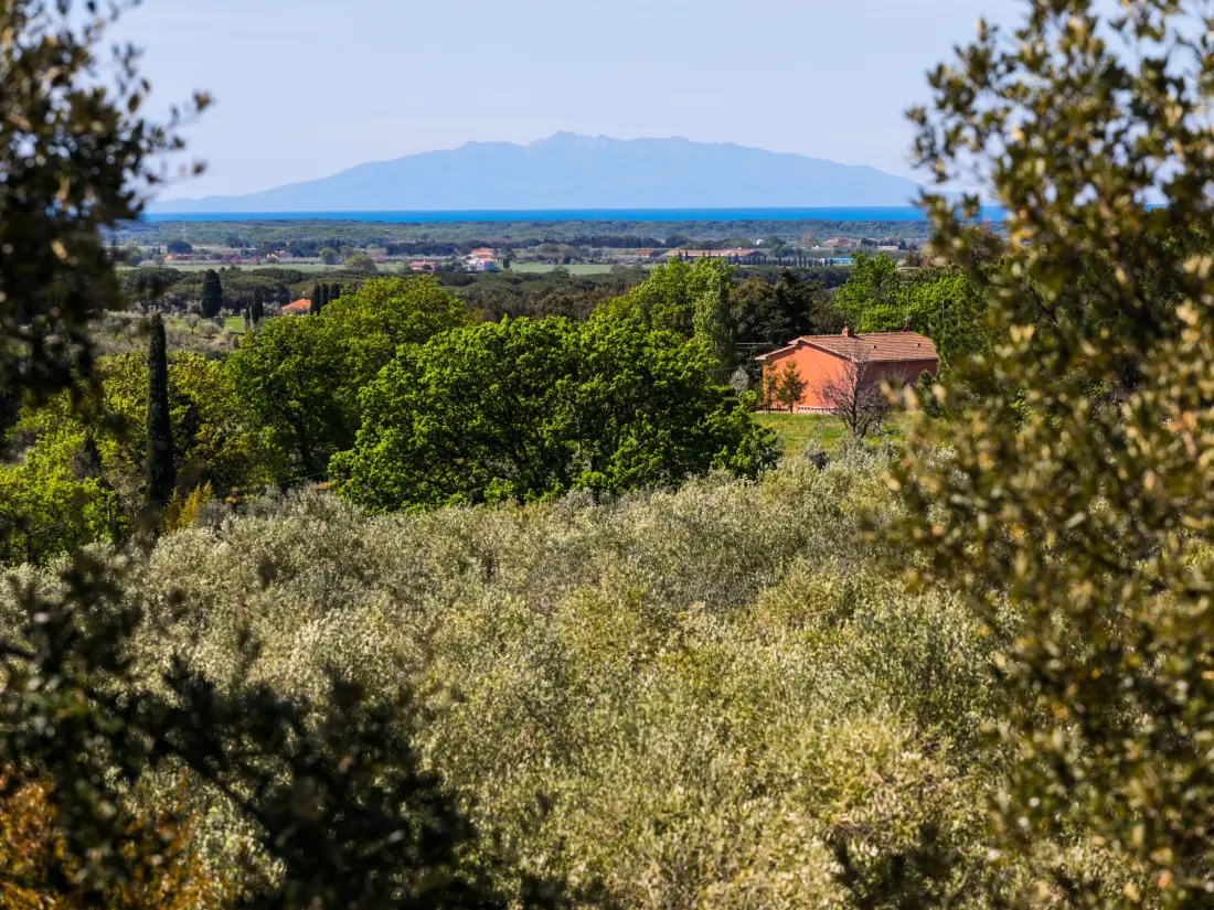 Résidence Tramontana