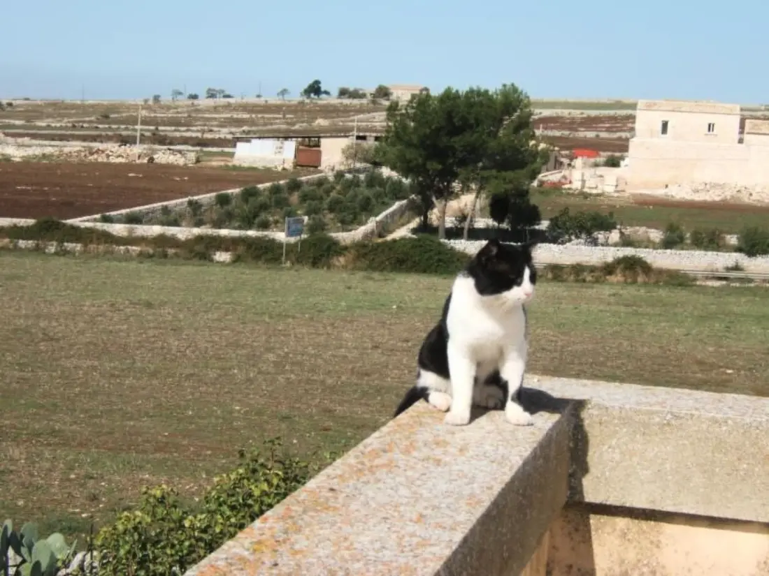 Maison de Vacances Marina di Ragusa