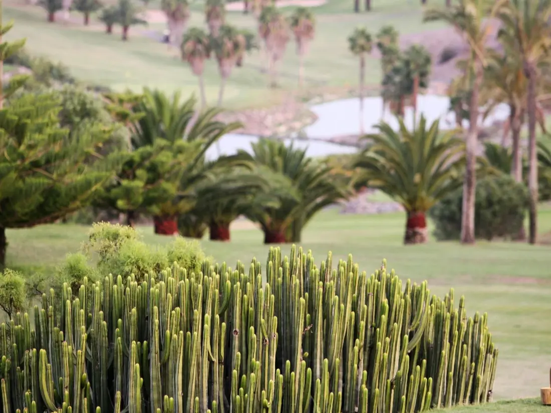 Maison de Vacances Maspalomas