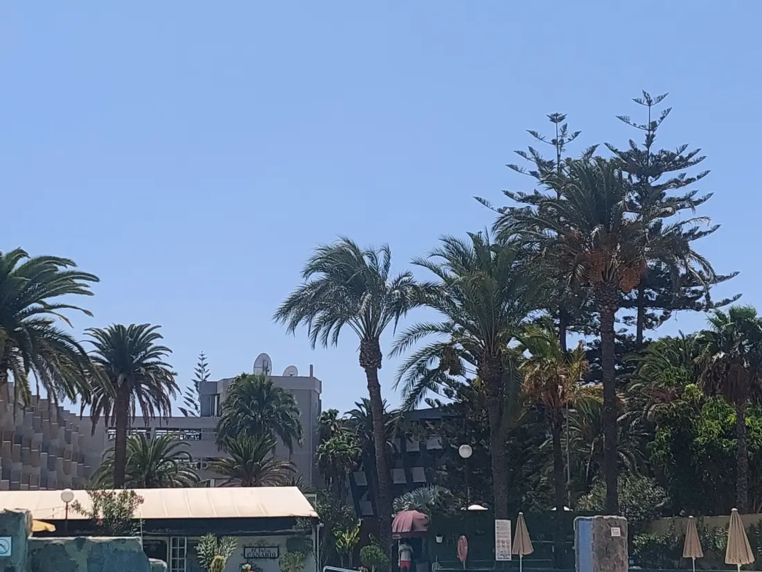 Résidence Wohnung "Agaete Parque"