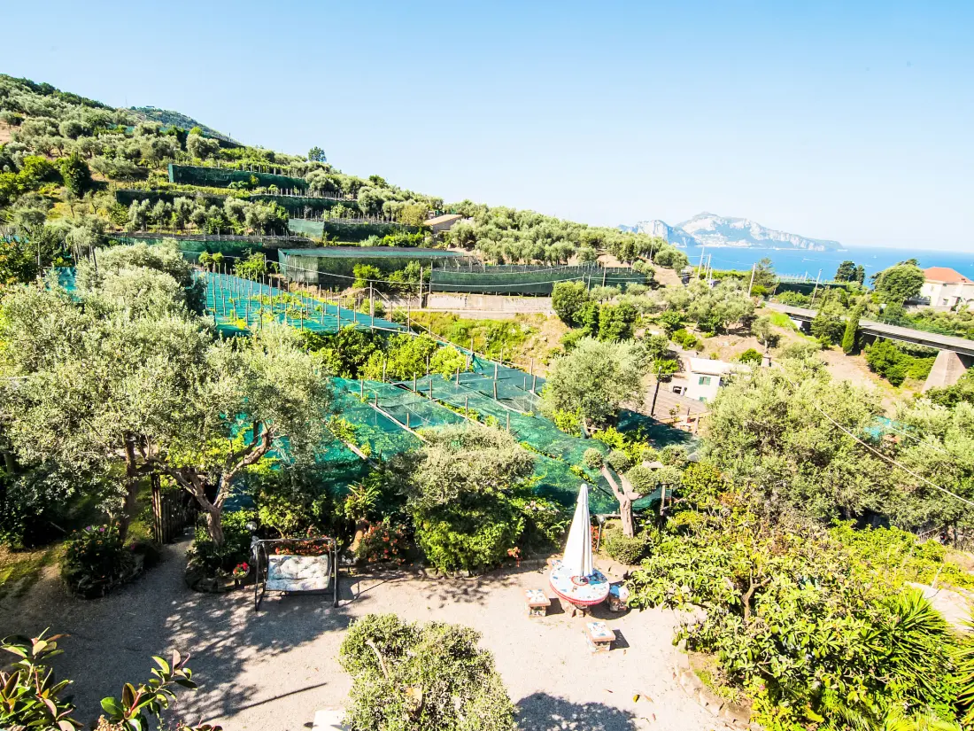 Maison de Vacances Massa Lubrense