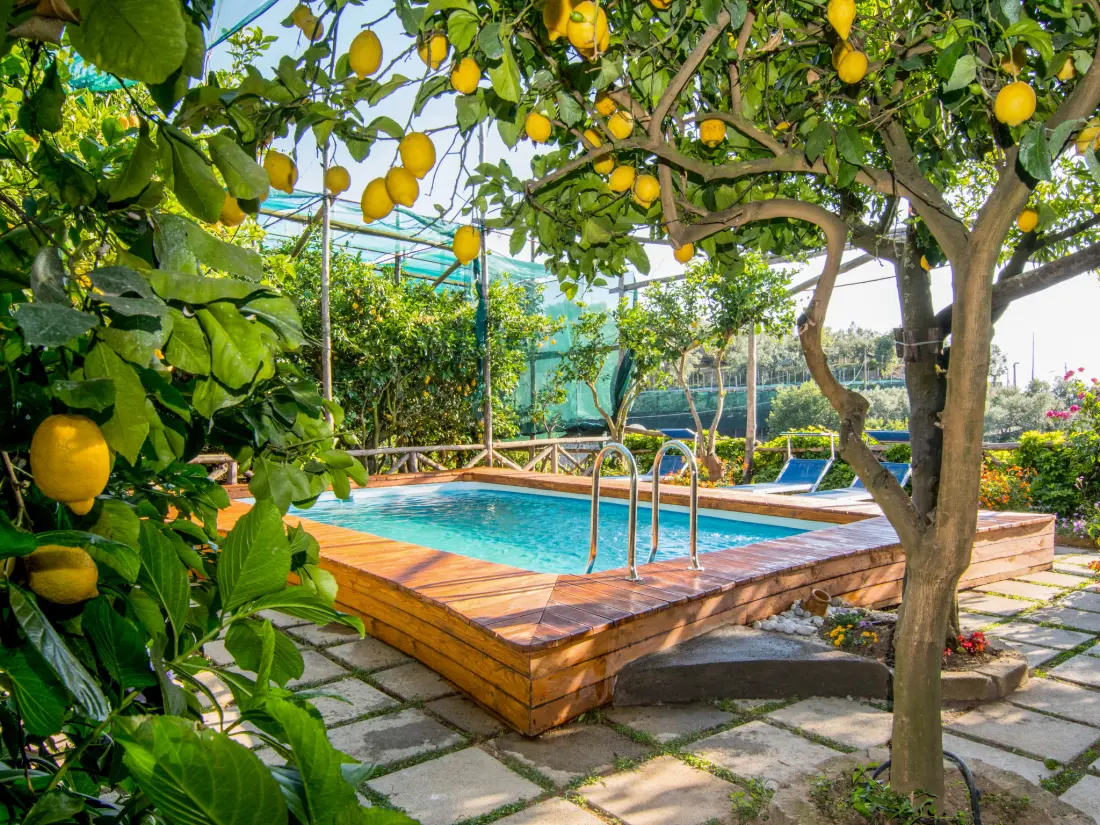 Maison de Vacances Massa Lubrense