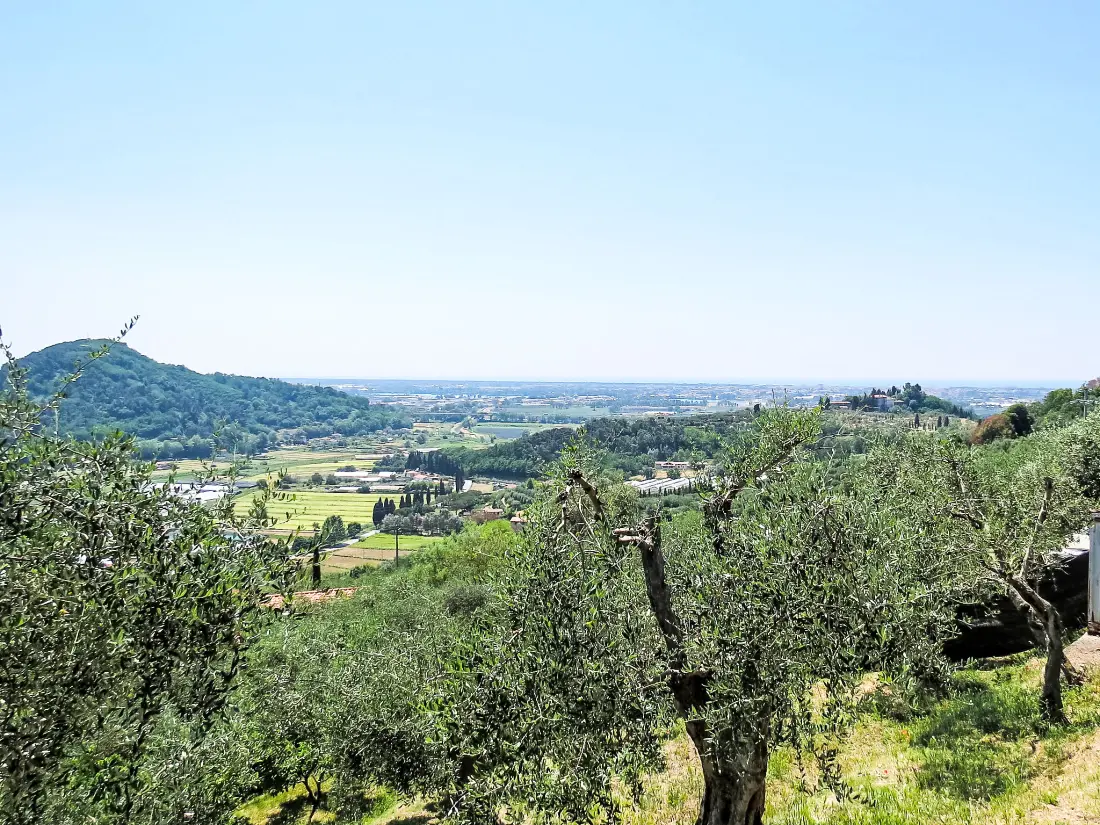 Maison de Vacances Massarosa