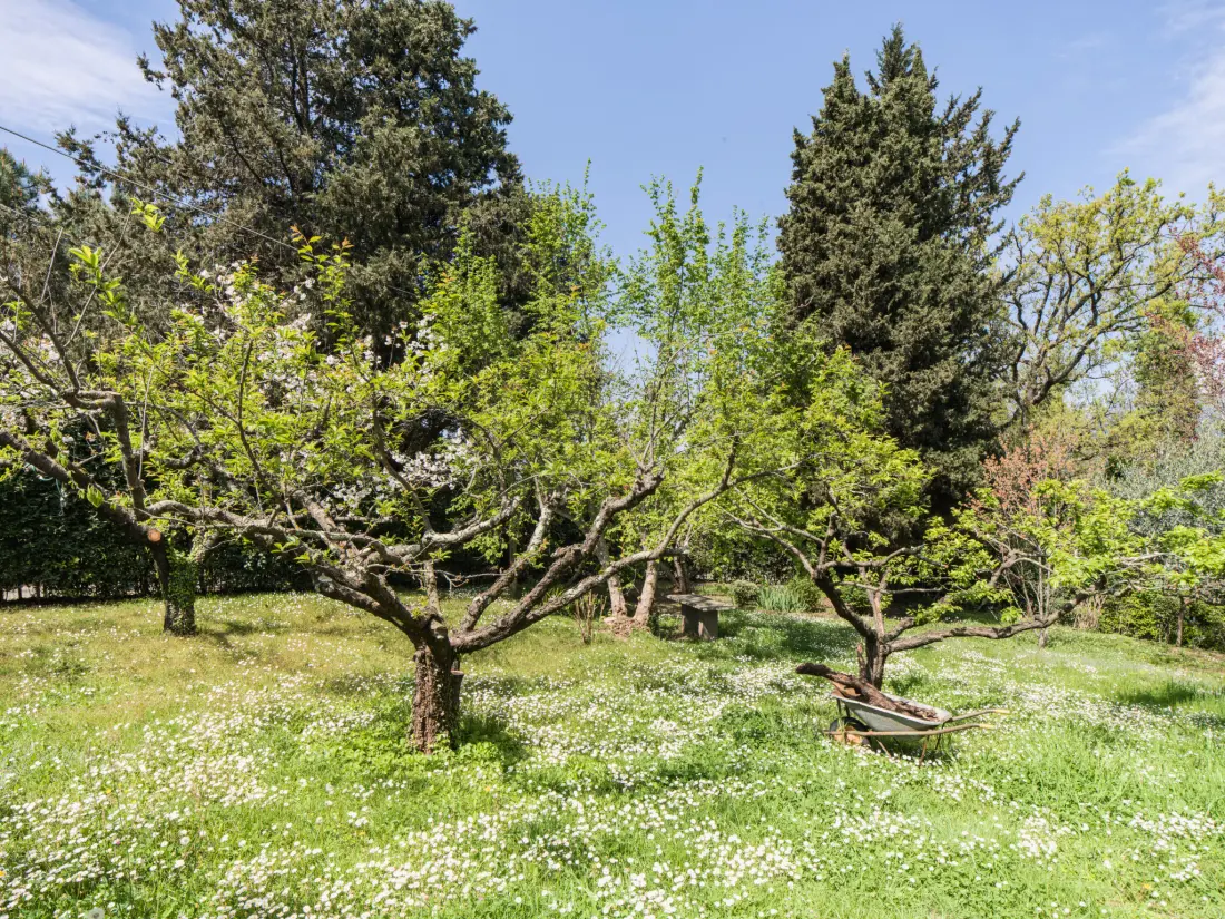 Maison de Vacances Massarosa