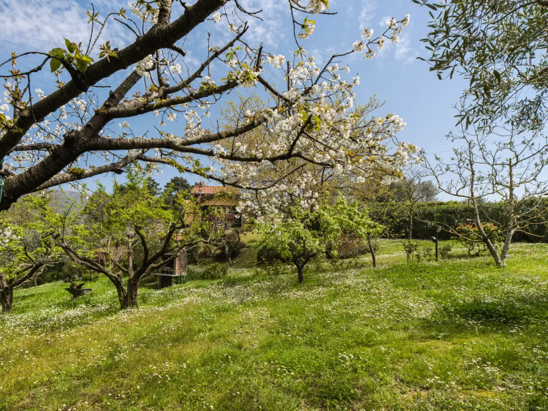 Maison de Vacances Massarosa