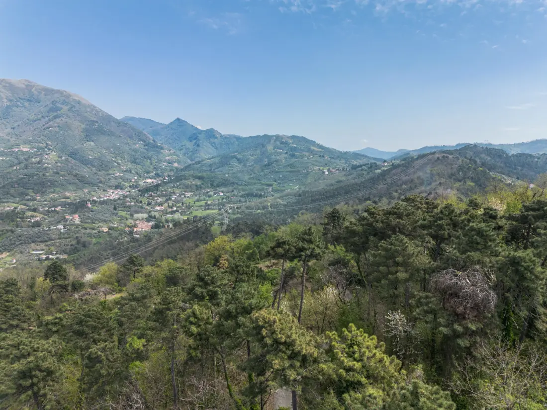 Maison de Vacances Massarosa