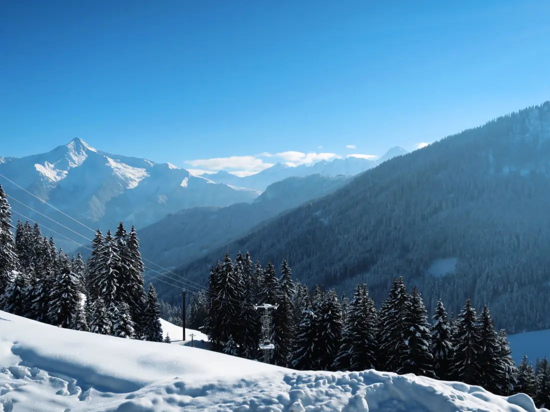 Chalet Mayrhofen