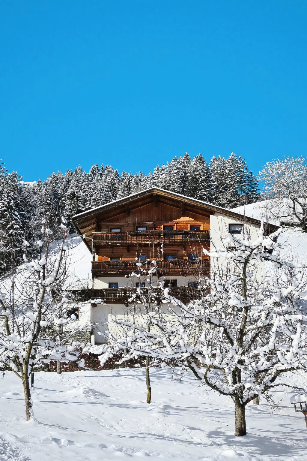 Maison de Vacances Mayrhofen