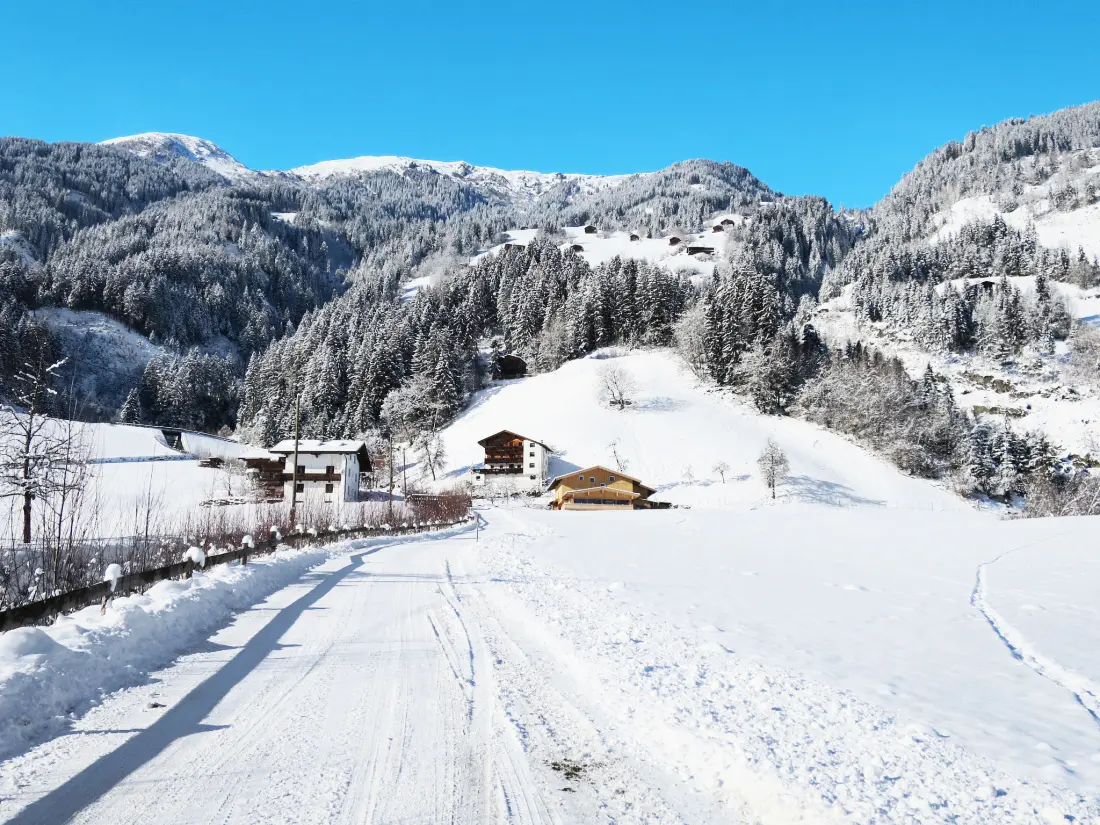 Maison de Vacances Mayrhofen