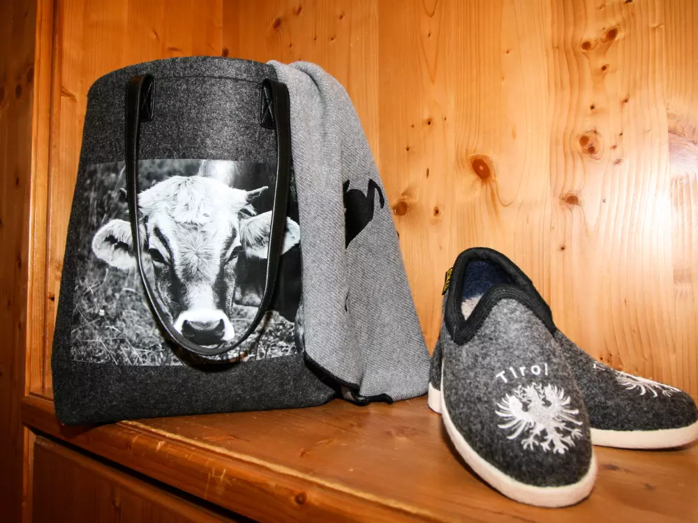 Maison de Vacances Mayrhofen