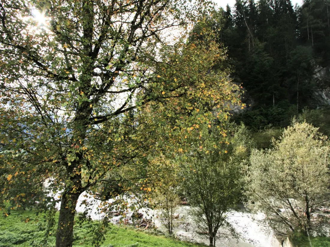 Résidence Ratschnhof