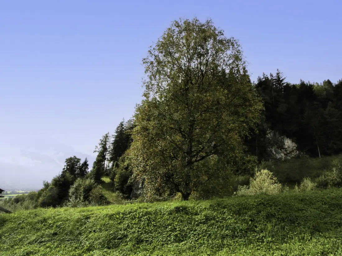 Résidence Ratschnhof