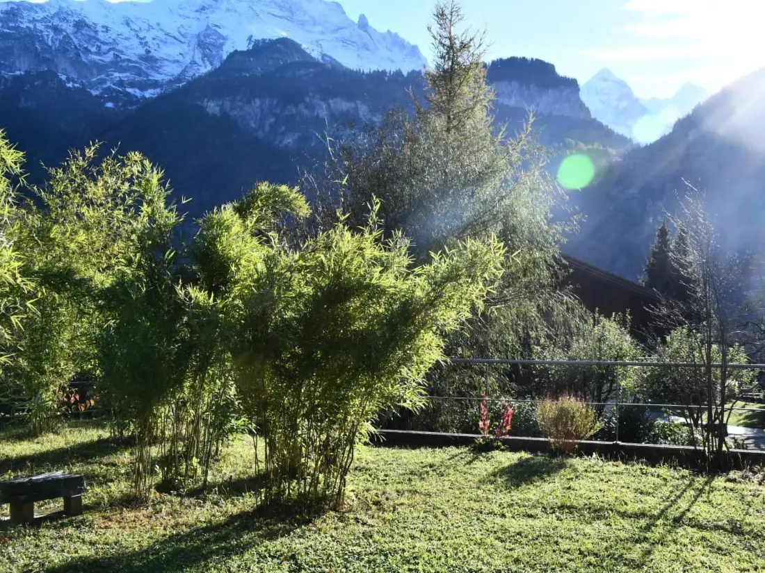 Maison de Vacances Meiringen
