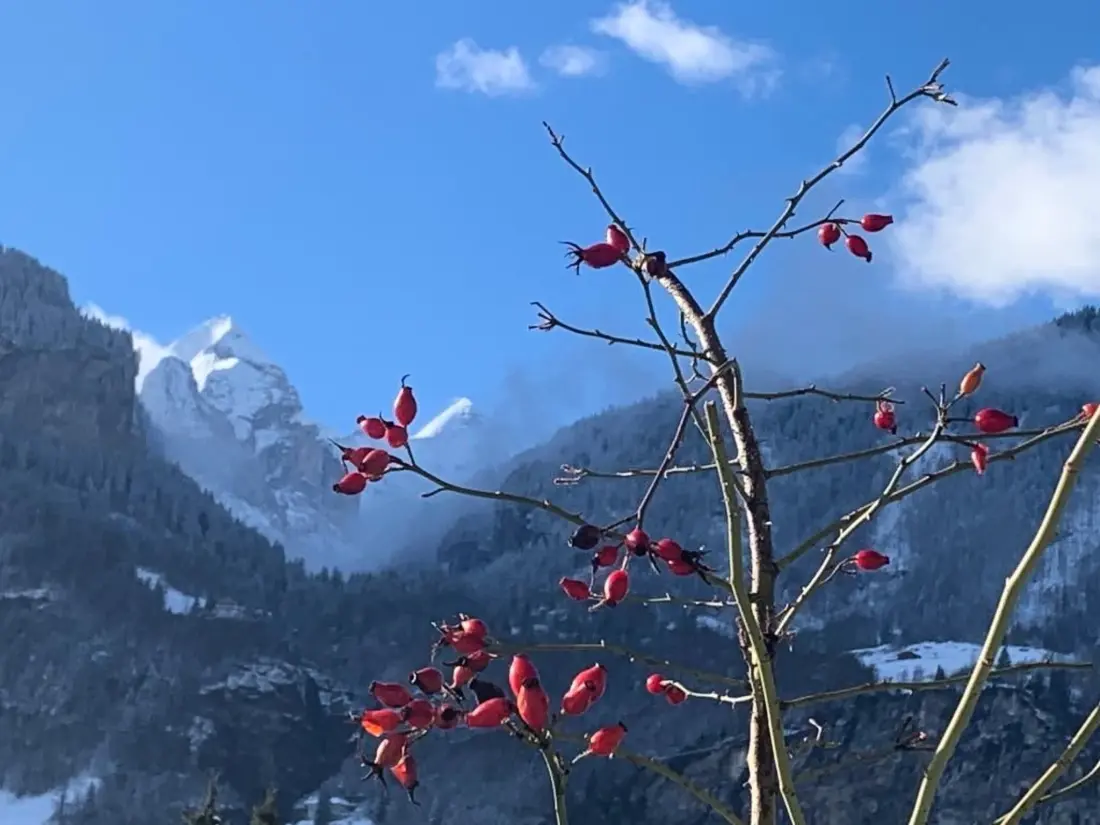 Maison de Vacances Meiringen