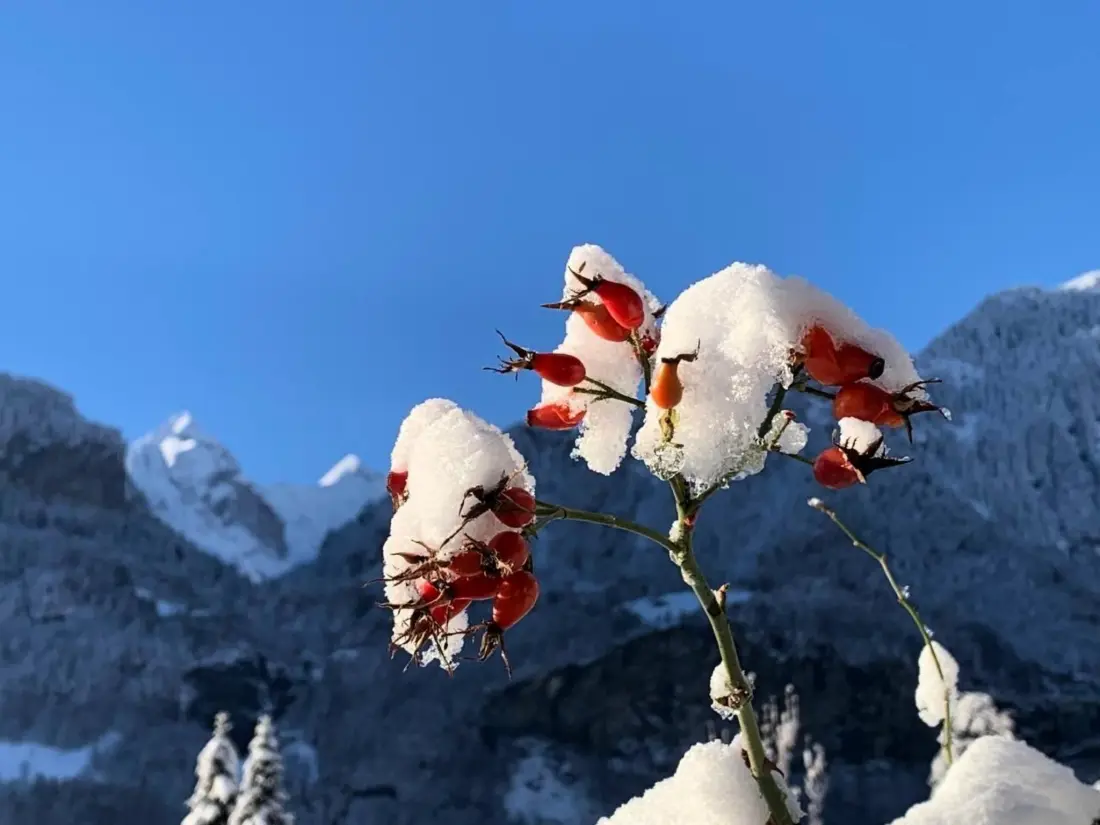 Maison de Vacances Meiringen