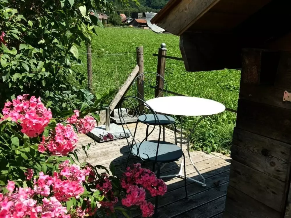 Résidence Mountain-Panorama EG 2-Bettwohnung