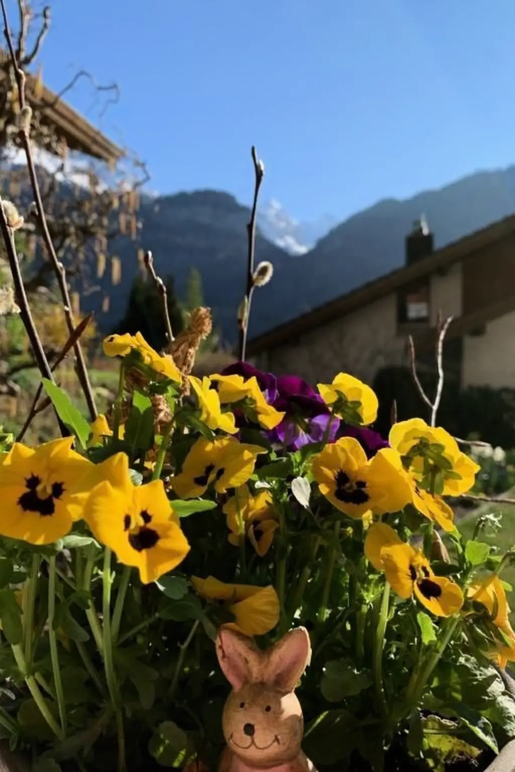 Résidence Sonnig und gemütlich