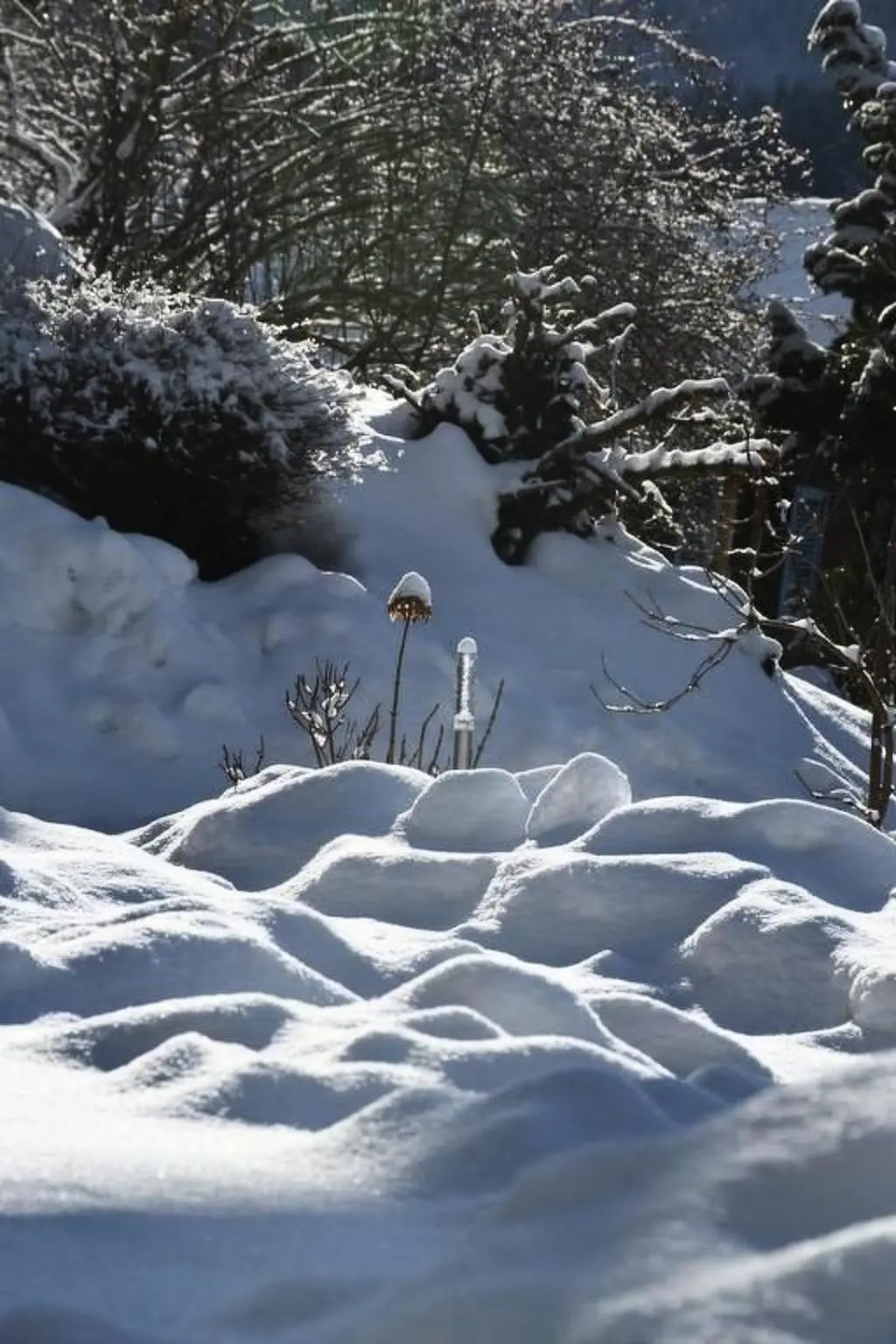 Résidence Sonnig und gemütlich