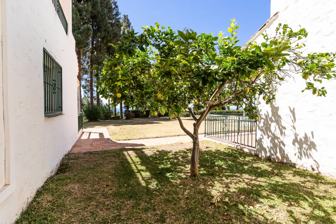 Appartements à Mijas Costa