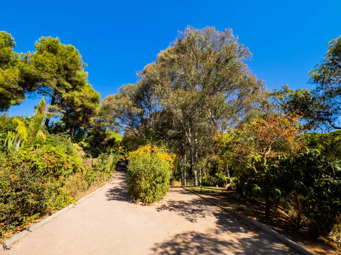 Appartements à Mijas