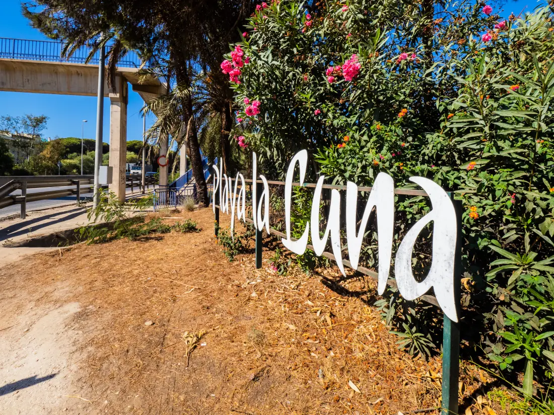 Appartements à Mijas