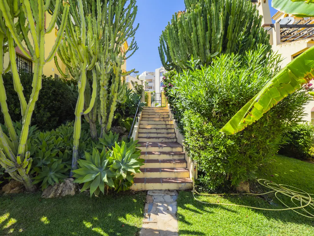 Appartements à Mijas