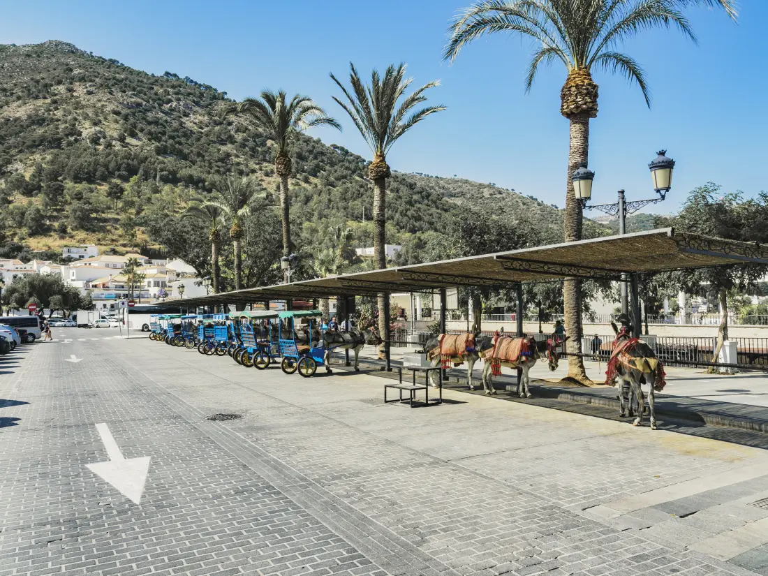 Appartements à Mijas