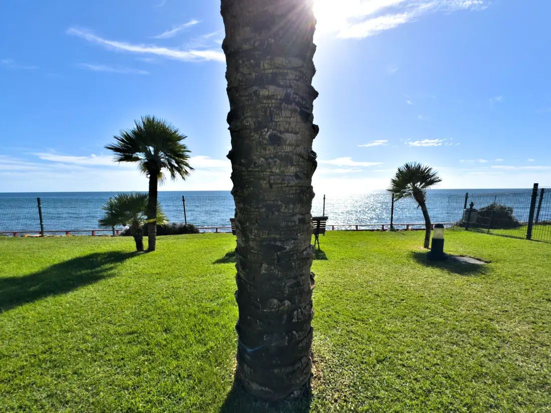 Appartements à Mijas