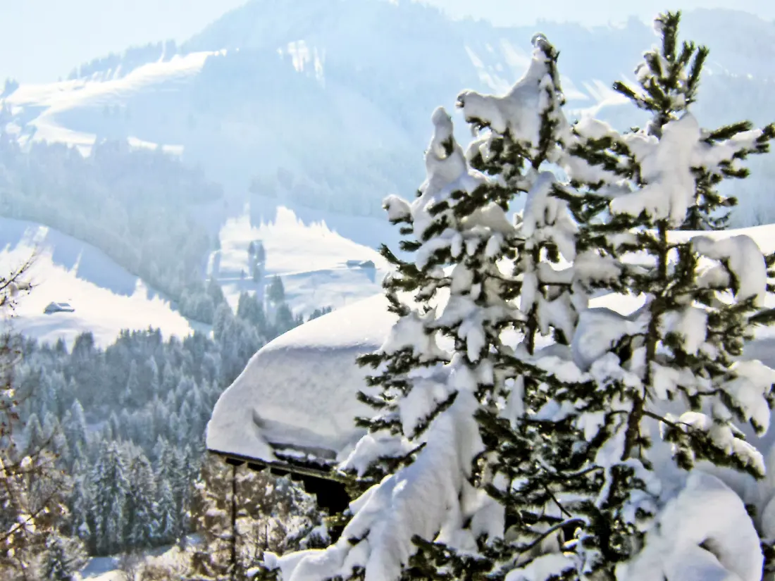 Chalet Moléson