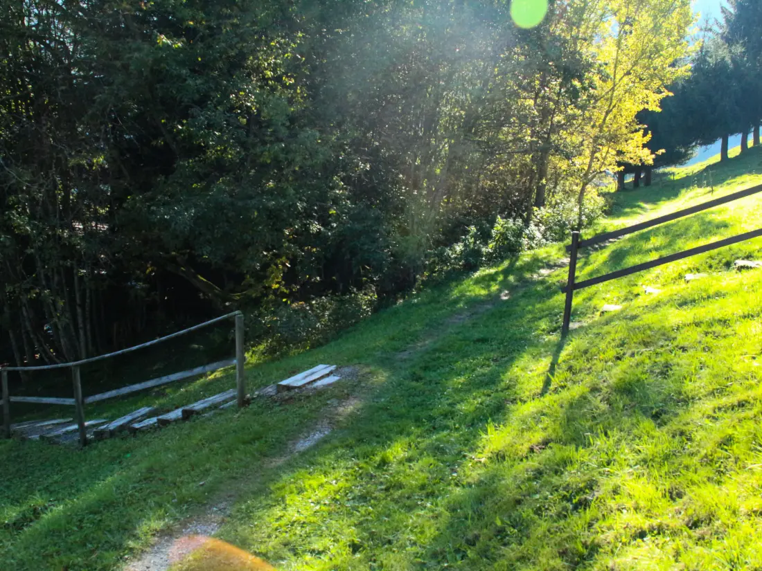 Chalet Moléson