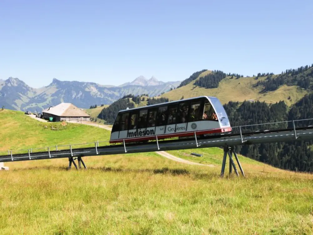 Chalet Moléson