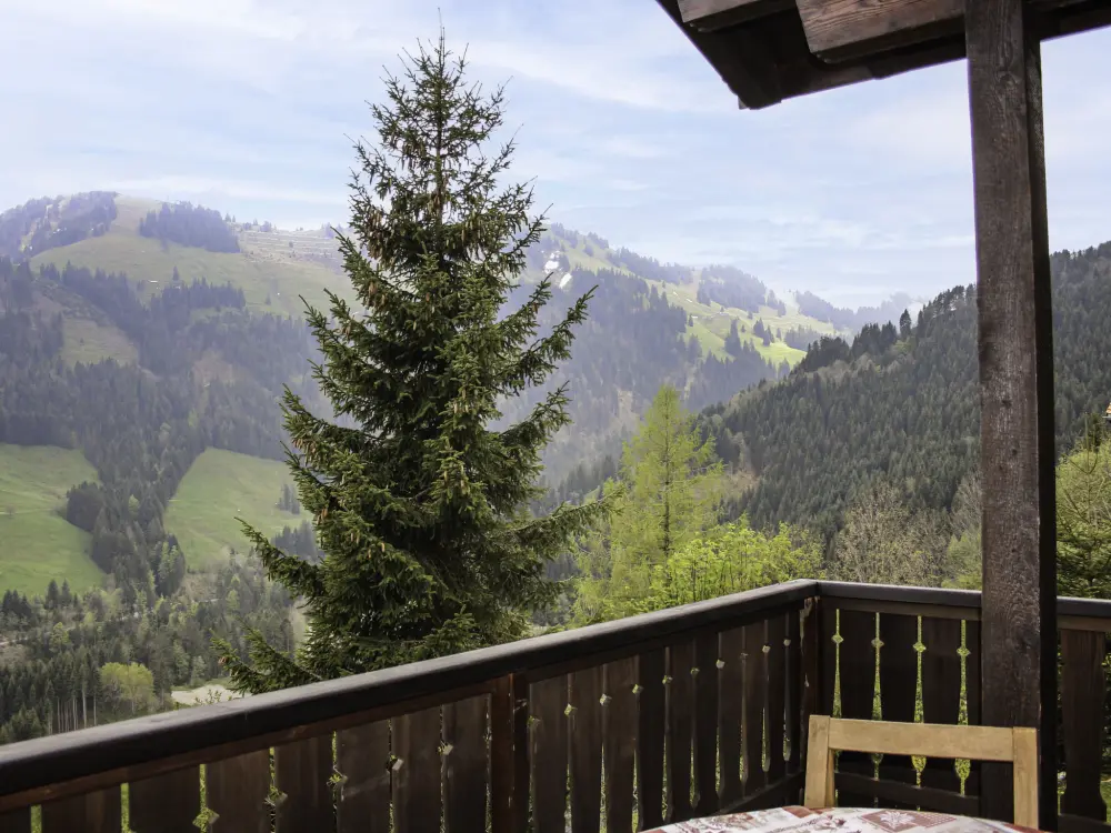 Chalet Moléson