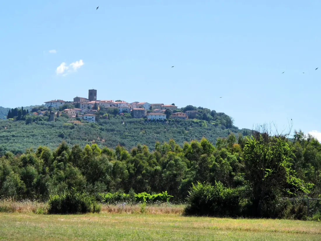 Maison de Vacances Monsummano Terme