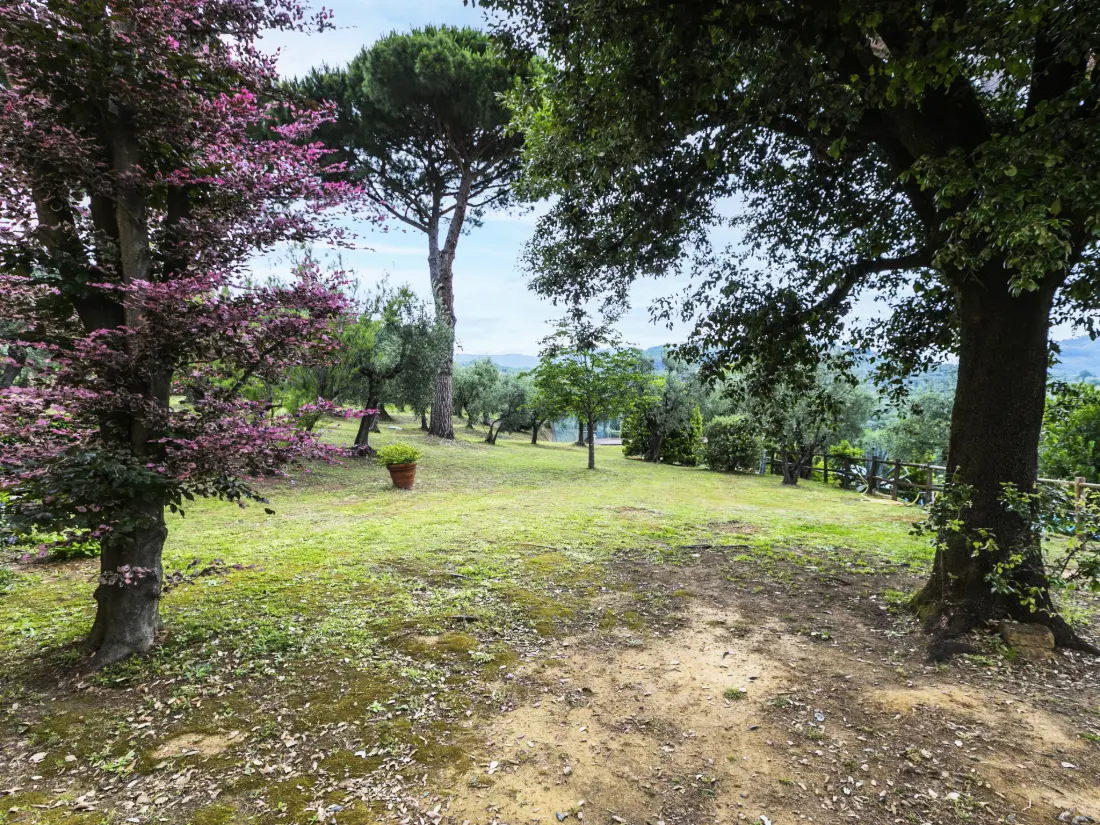 Maison de Vacances Monsummano Terme